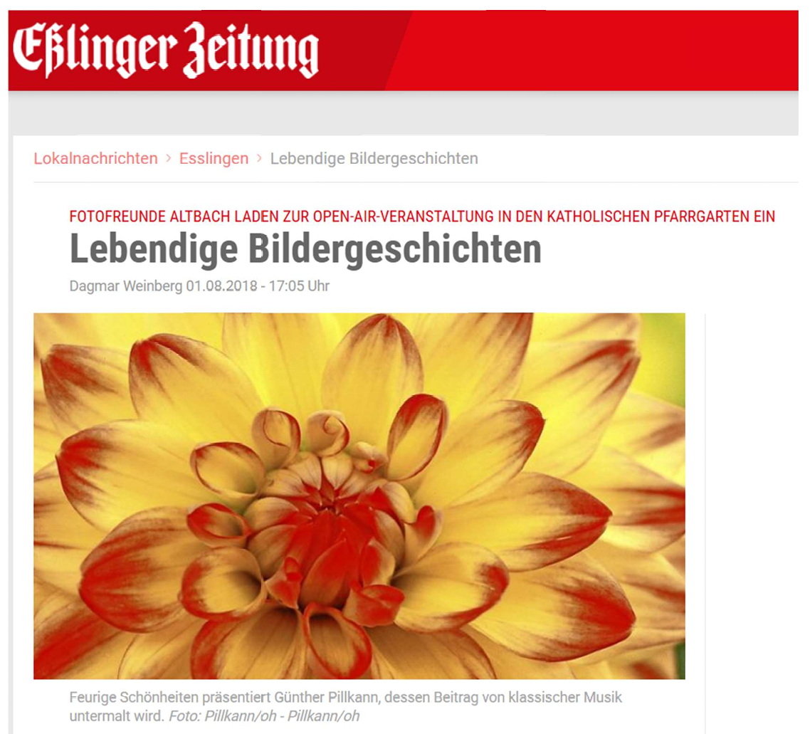 Lebendige Bildergeschichten - Esslinger Zeitung