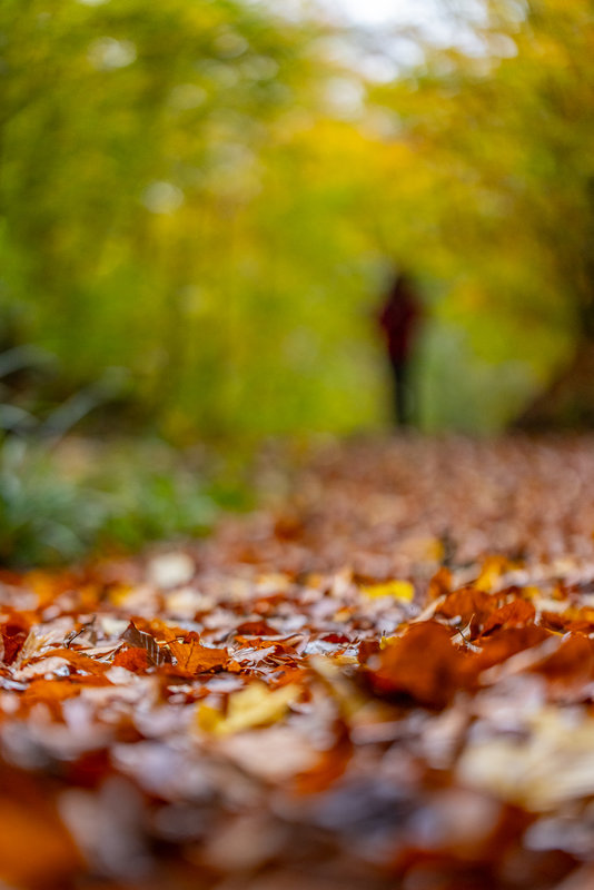 Fotospaziergang mit Gästen